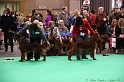 Crufts2011 347